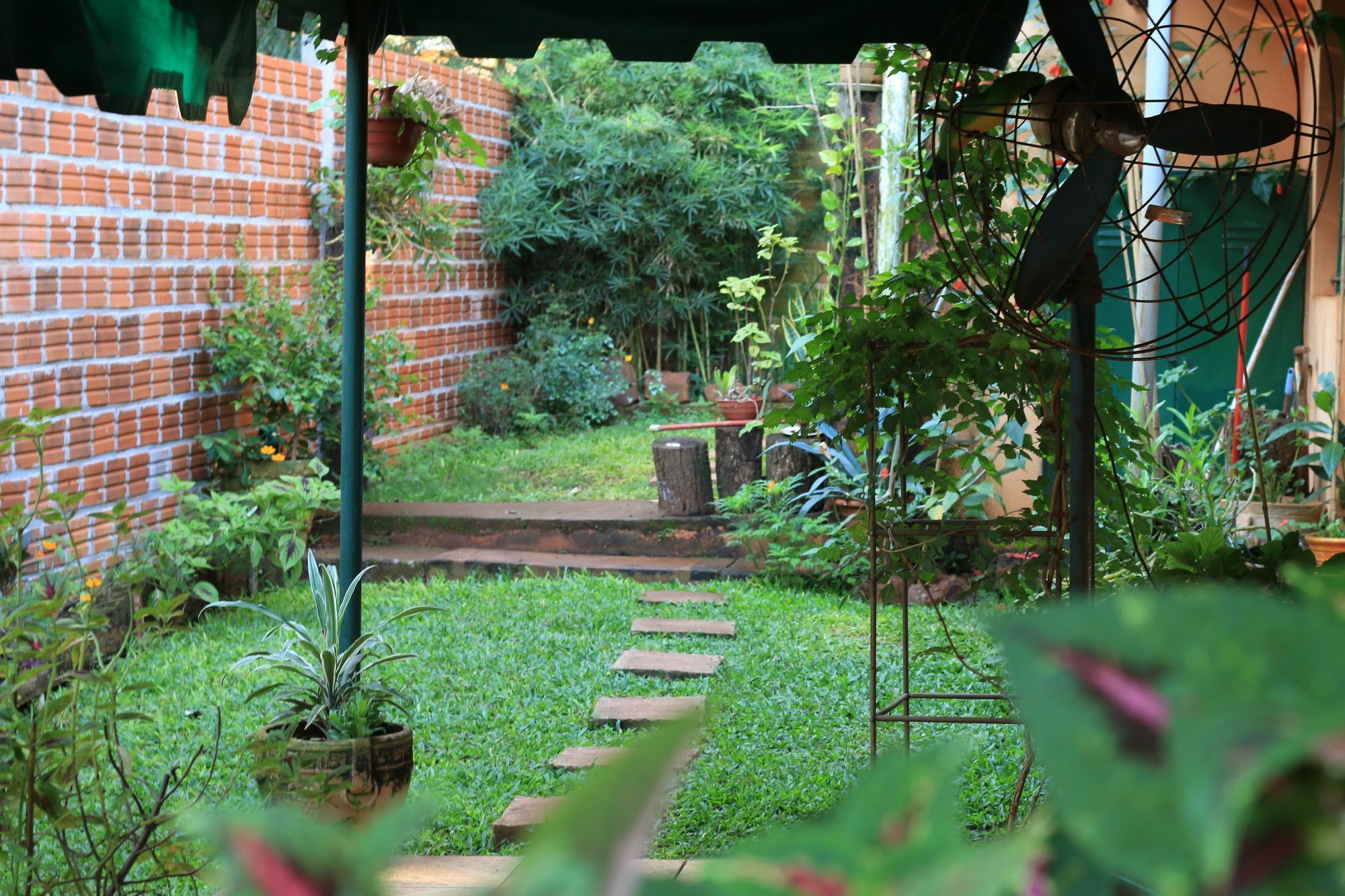 プエルト・イグアス Folks Iguazu - Casa De Huespedes Bed & Breakfast エクステリア 写真